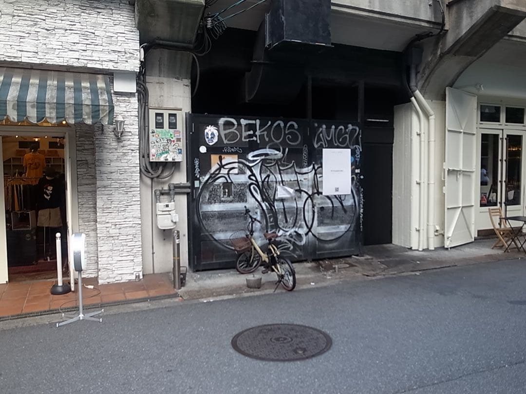 【作例あり】RICOH GR digital ⅳ コンデジ