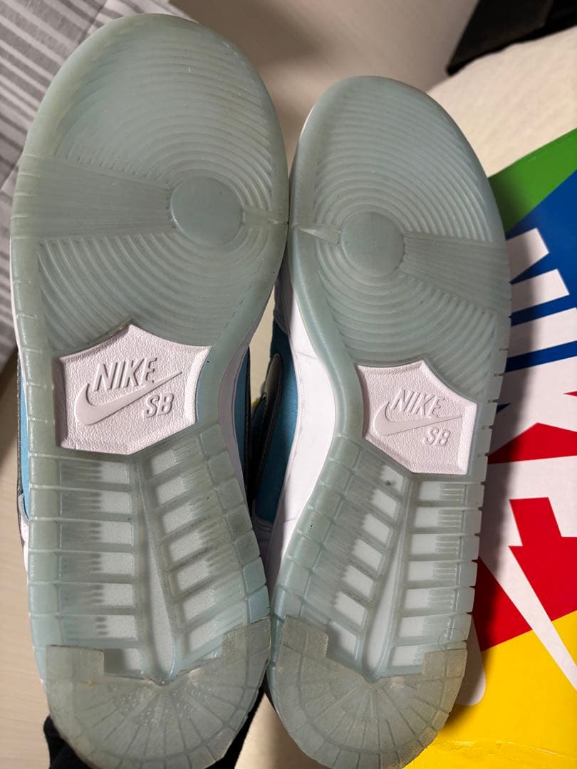 【美品】FTC×ナイキ SBダンクロー 29.0cm