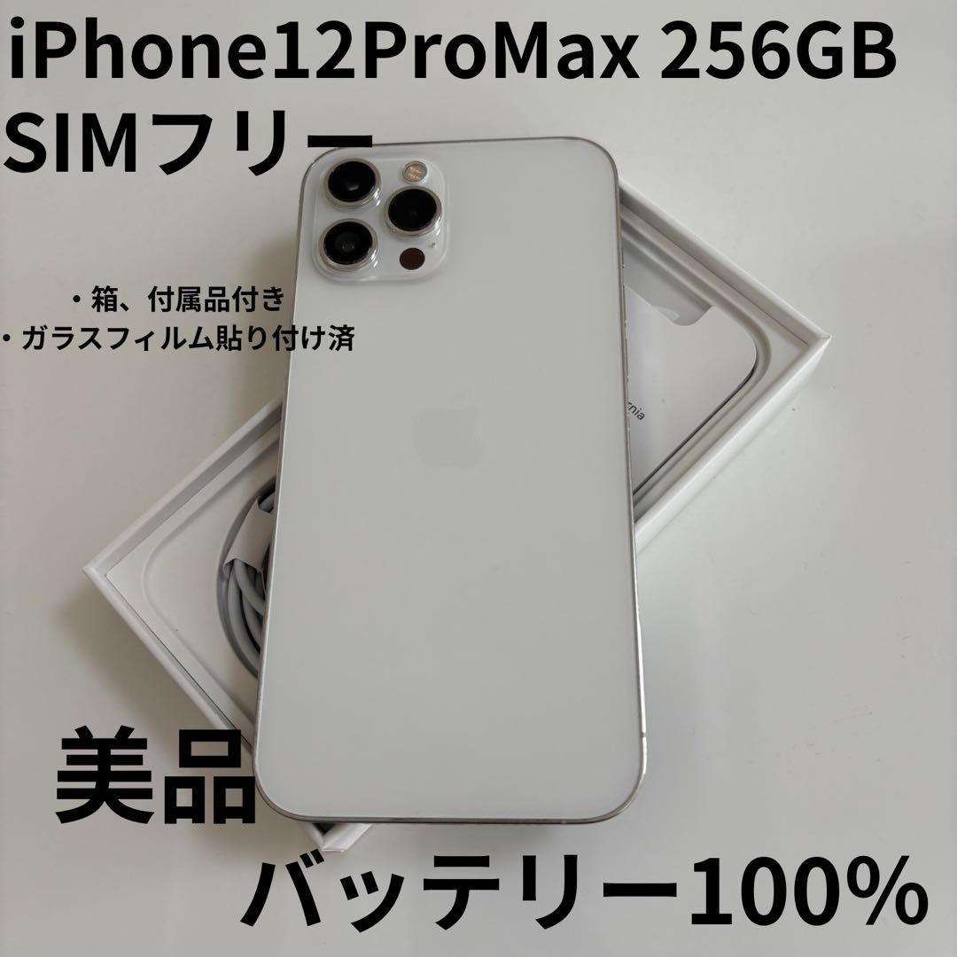 【美品】iPhone 12 Pro Max 本体 256GB SIMフリー