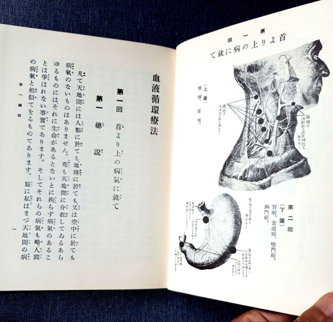 【希少】血液循環療法講習録