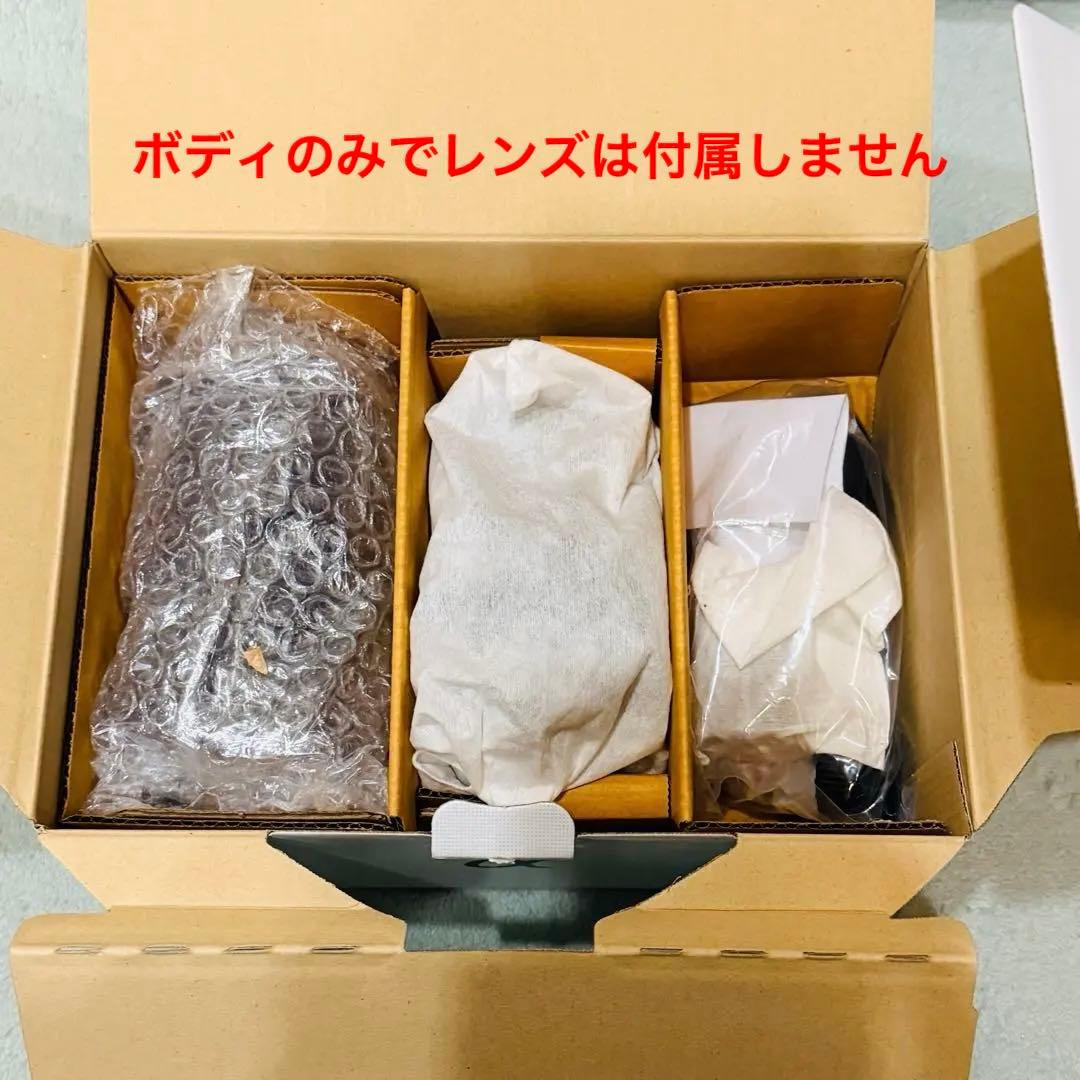 SONY デジタル一眼カメラZV-E10YB ボディ（箱、付属品はお付けします）