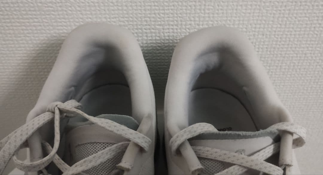 靴 On Cloudmonster2 26cm FrostRock