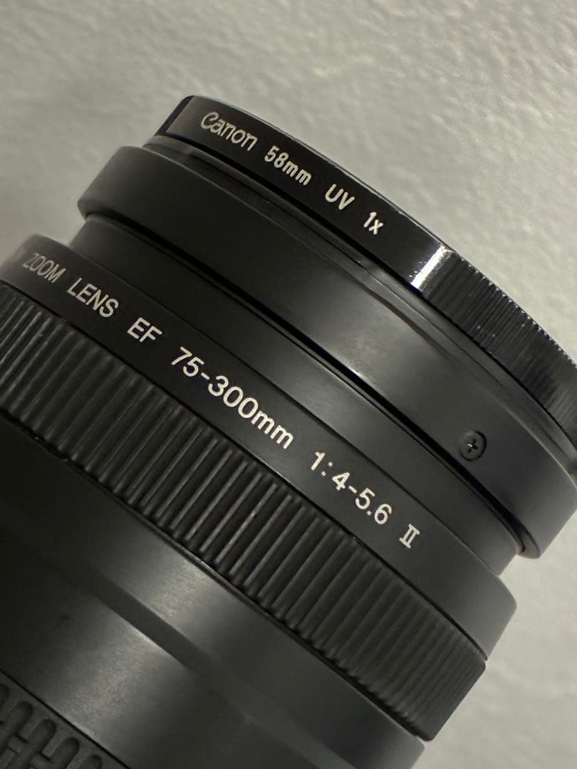 ⭐️美品⭐️キャノン Canon EF 75-300mm F/4-5.6 II