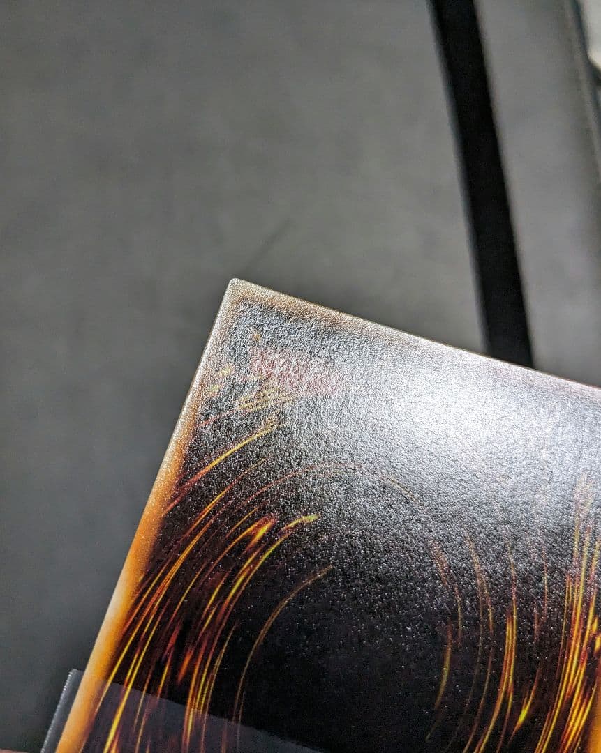 tynです。　ホーリーナイトドラゴン、初期、シク