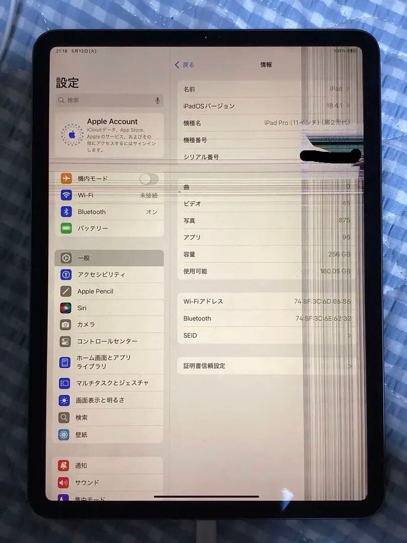iPad Pro 第2世代　11インチ　256GB 　Wi-Fiモデル　液晶割れ
