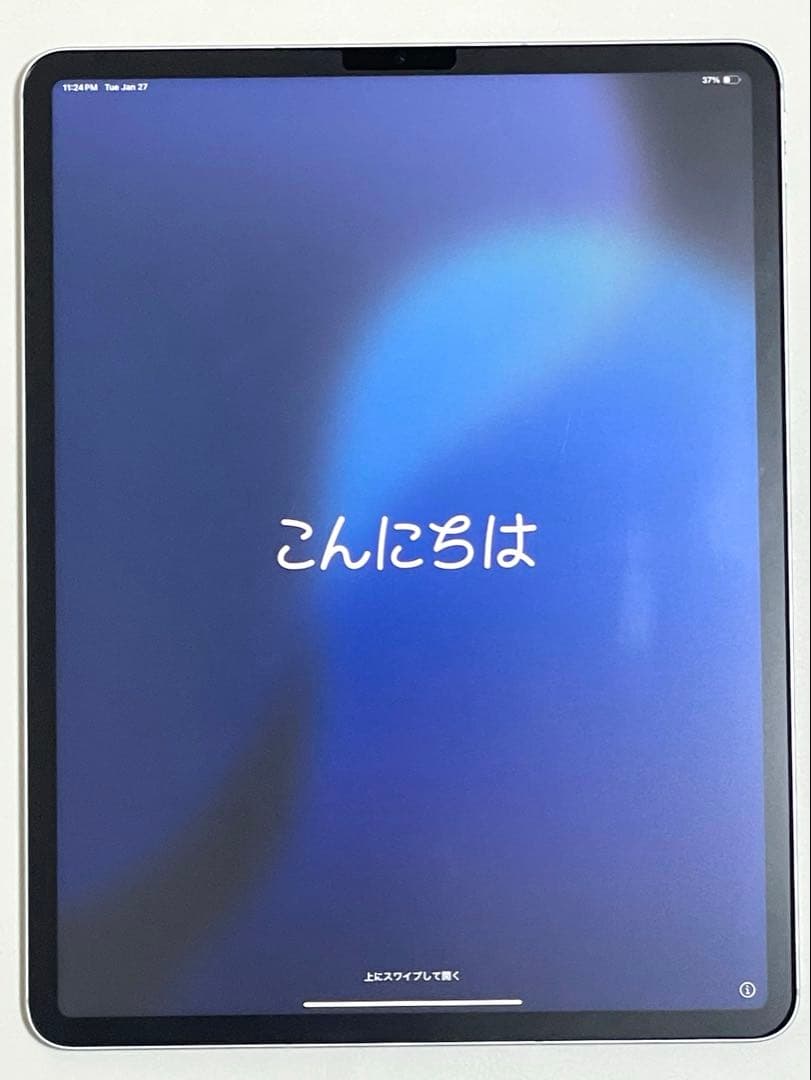 Apple iPad Pro 12.9インチ256GB 第5世代/PITAKA