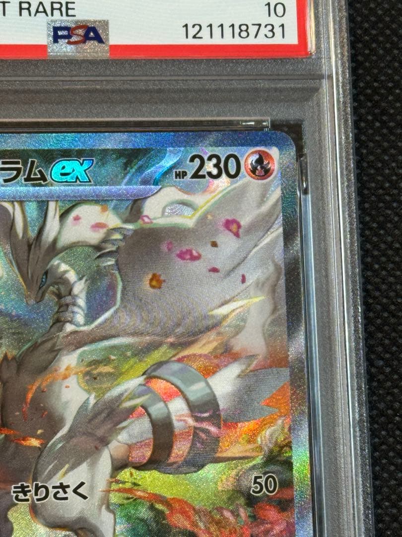 ゼクロムex レシラムex sar psa10 連番