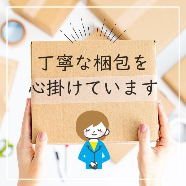 ポータブルディスプレイオーディオ 11インチ大画面 【Androidシステ　ra