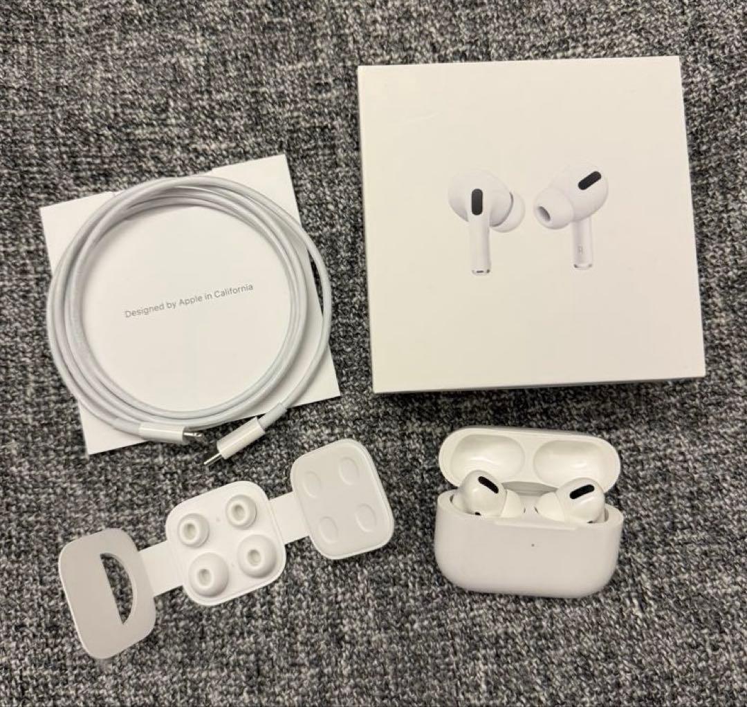 Apple AirPods Pro 1 本体