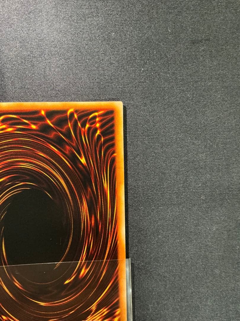 【確認用】　ライオンの儀式