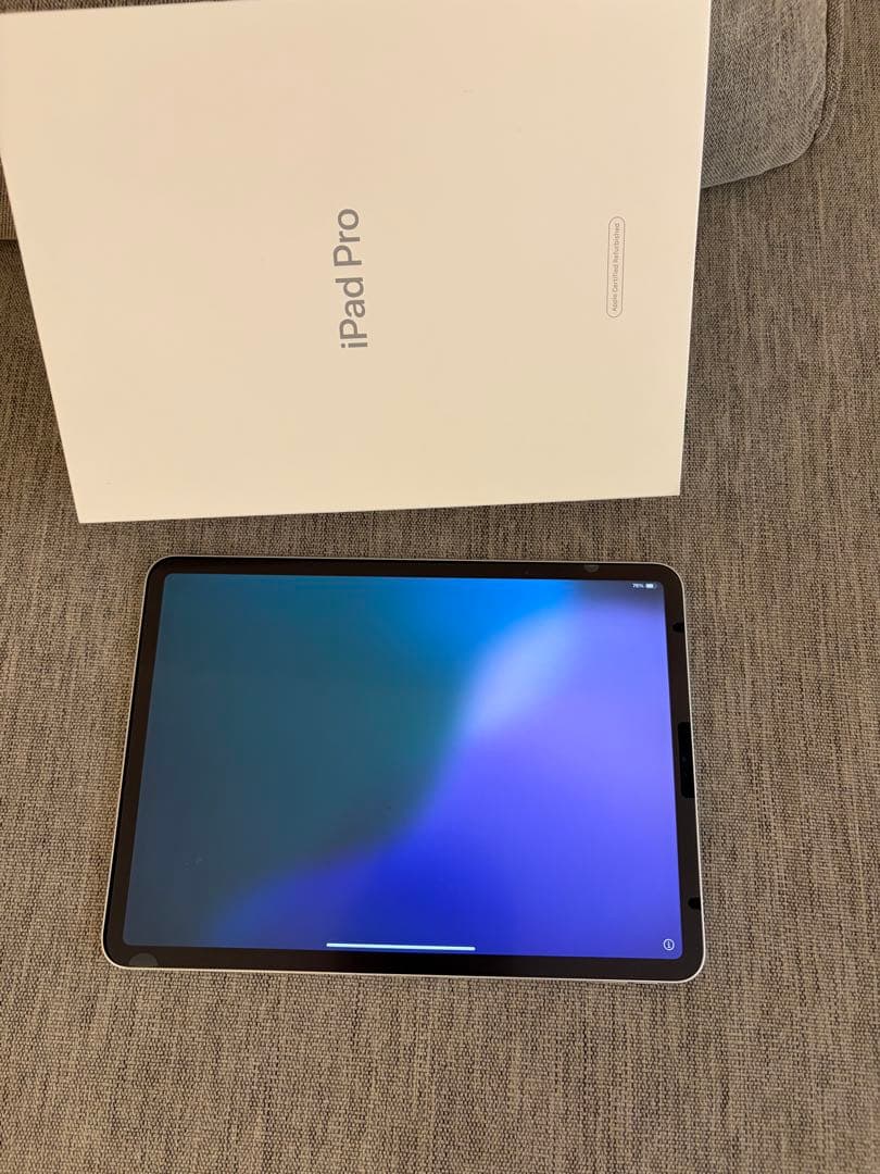 iPad Pro 第一世代11インチ 256GB シルバー　wifi