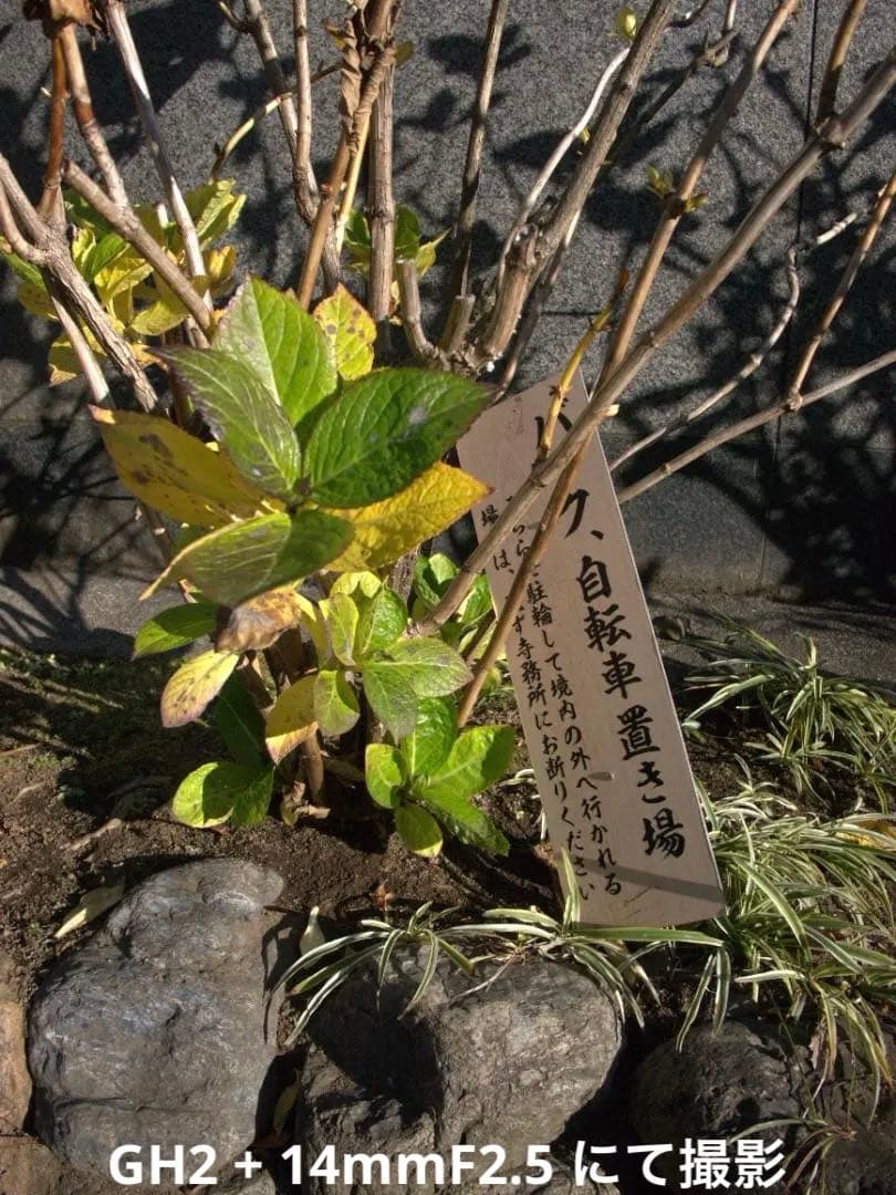 【動画の名機】Panasonic LUMIX DMC-GH2 ボディ