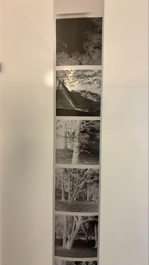 【作例あり】動作品　Minolta Autocord　二眼レフ