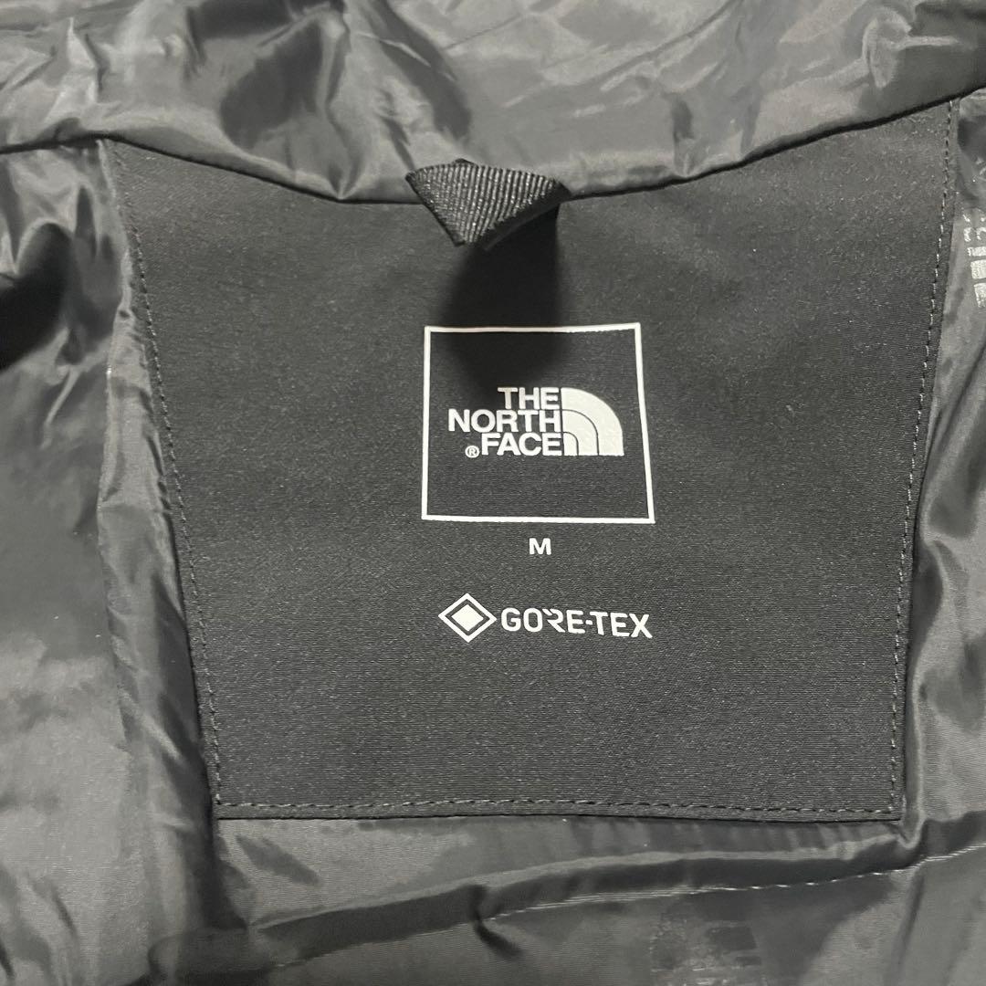 THE NORTH FACE NP62510 マウンテンパーカー ゴアテックス