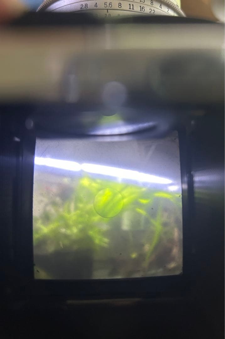 Kowa SIX 中判カメラ　レンズ、説明書付き　写真追加しました　【中古】