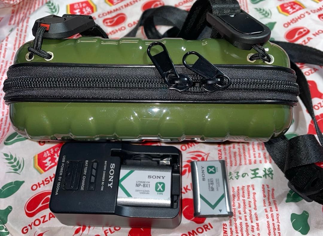 DSC-RX100M6 実用品