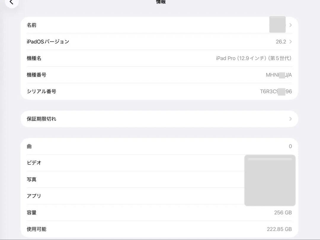 (特別値下げ中) Apple iPad Pro 第5世代 256GB 12.9