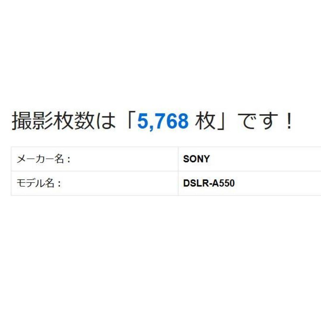 ❤即購入1000円OFF❤ ソニー α550 手ブレ補正搭載 レンズキット