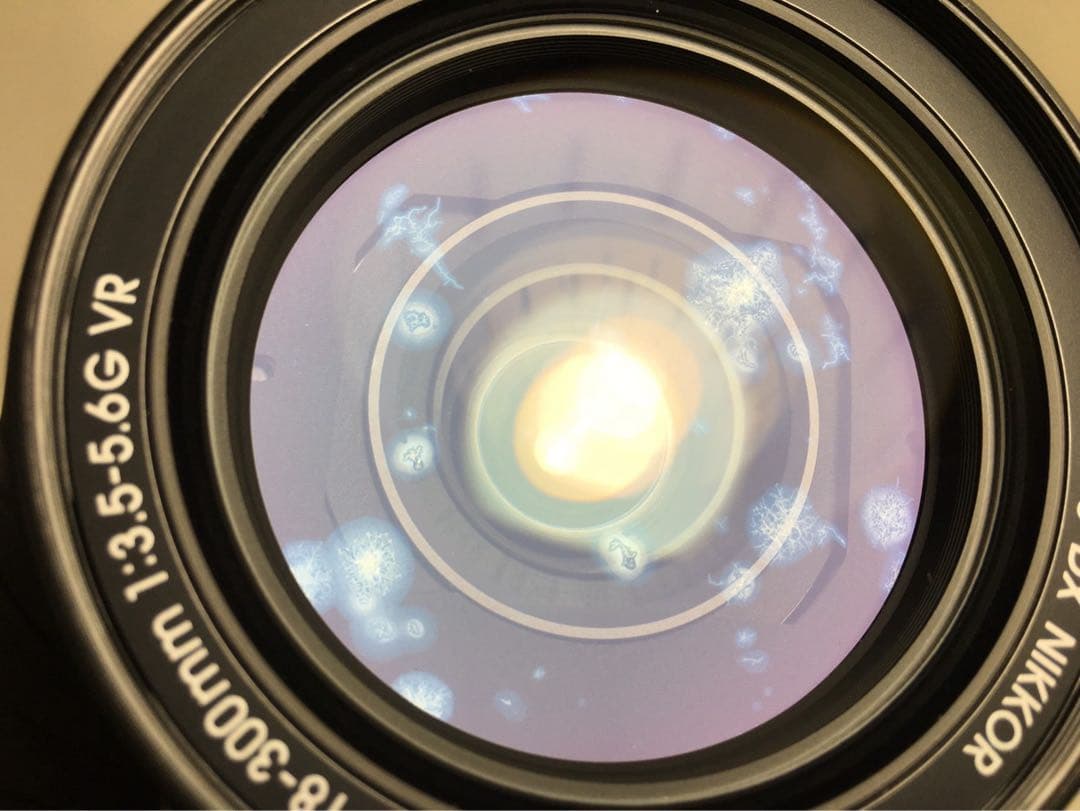 ✨極美品✨ニコン AF-S 18-300mm ED VR❤️心を動かす1枚を！