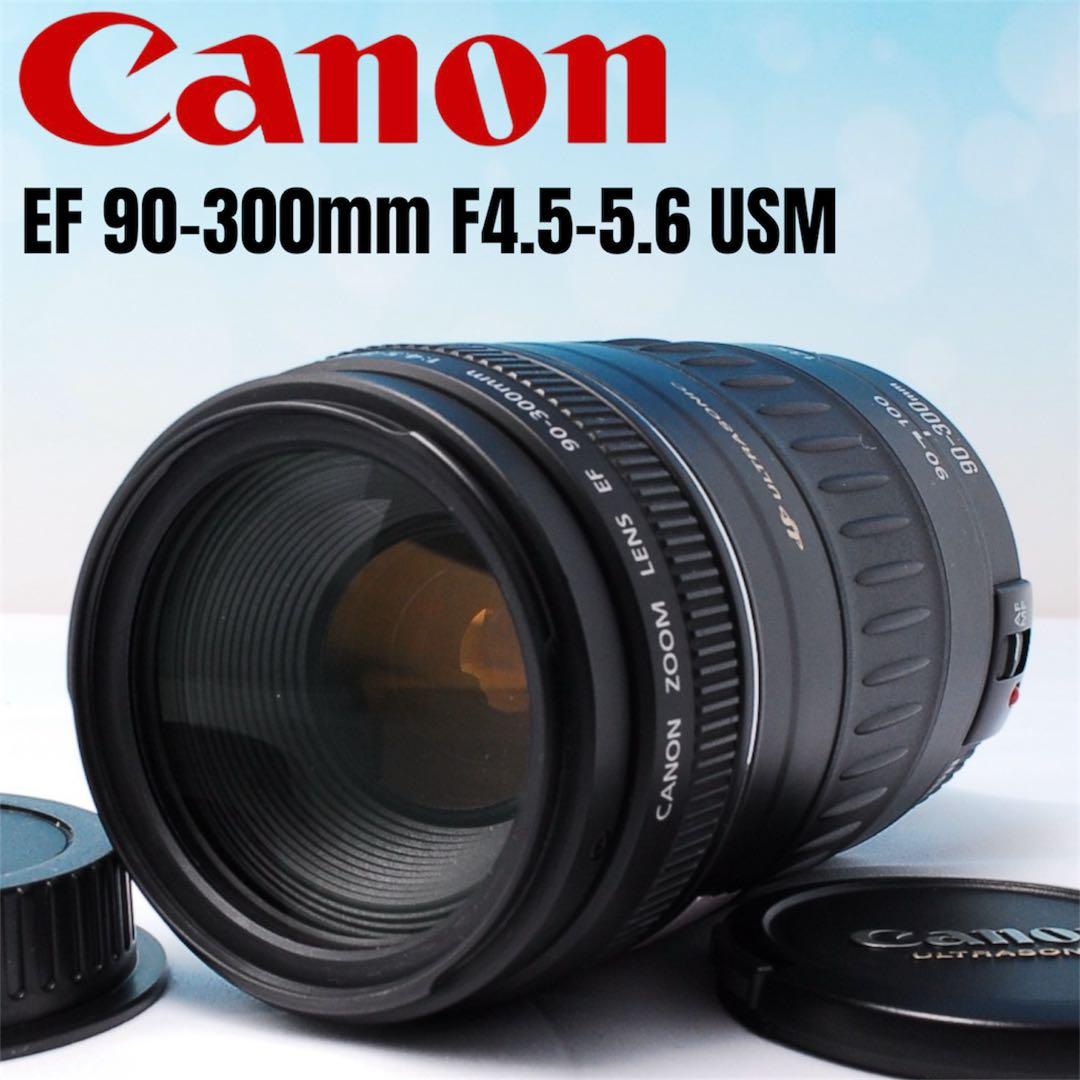 Canon EF 90-300mm F4.5-5.6 USM キャノン 超望遠