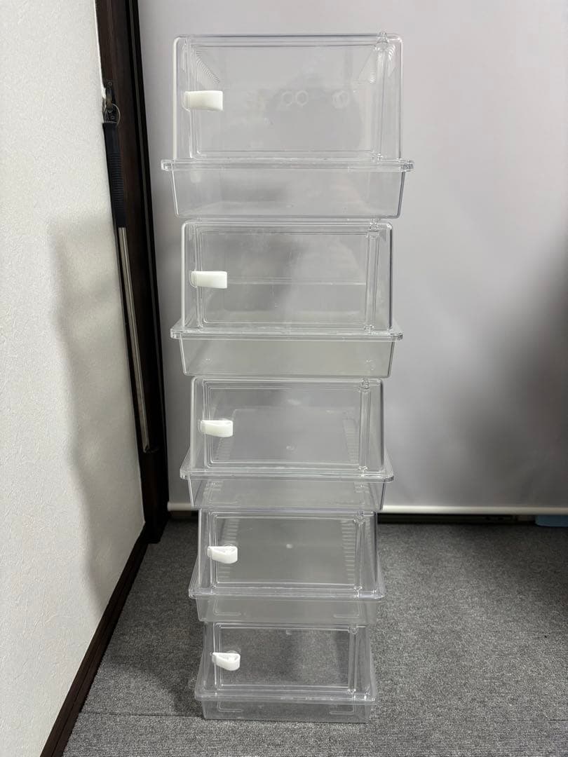 レプティギア365 5個