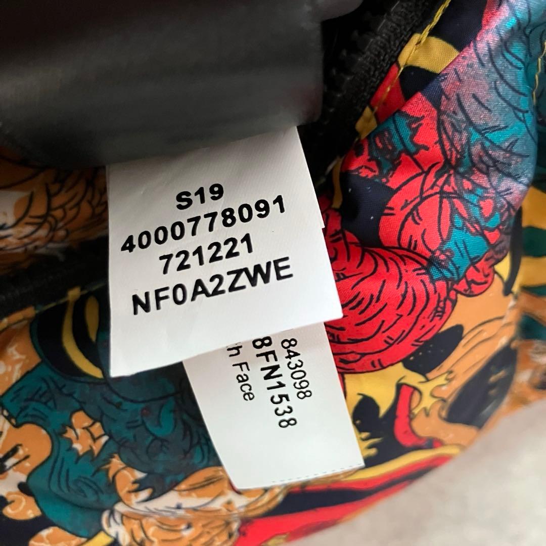 日本未発売 ノースフェイス 総柄 マルチカラー ダウンジャケット/M