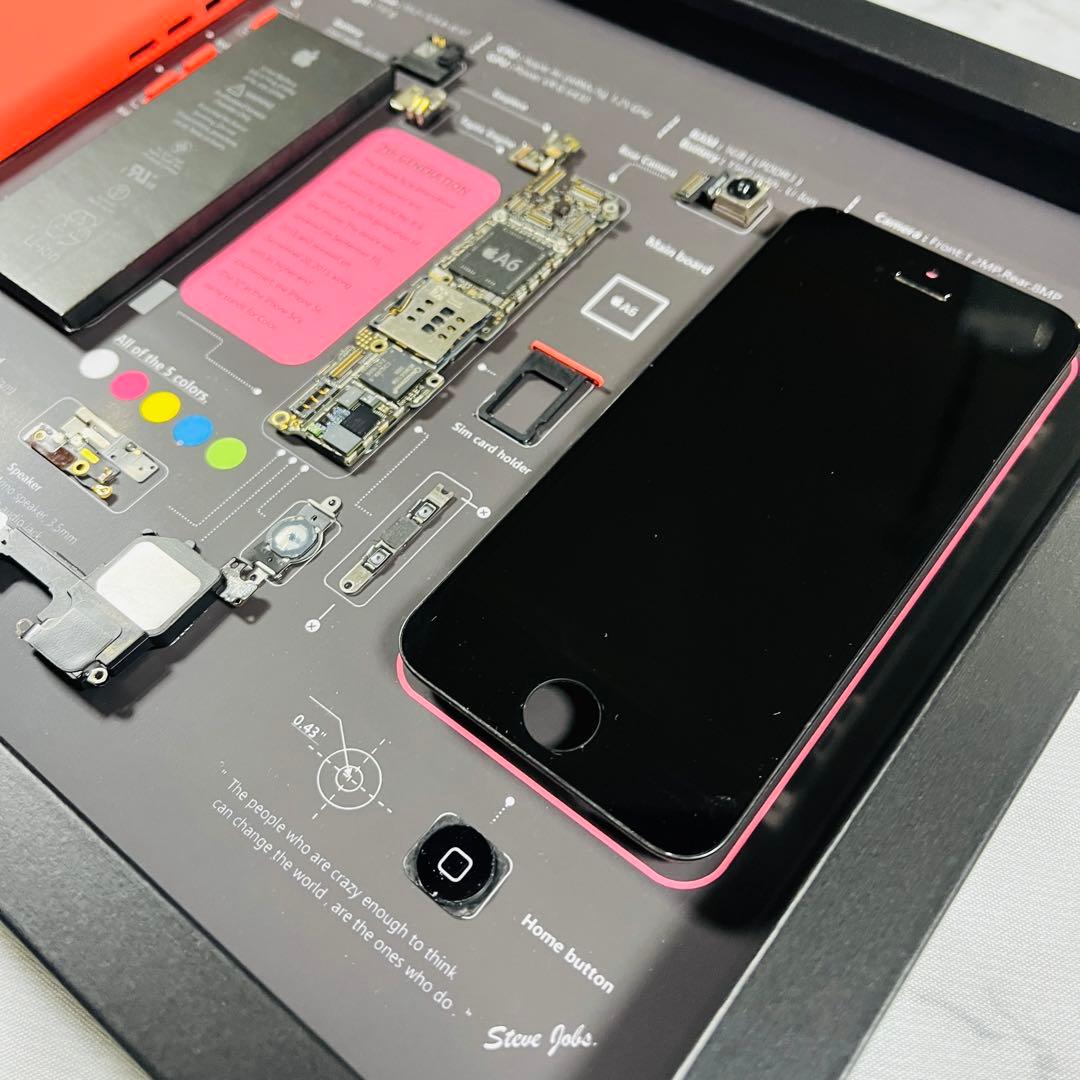 iPhone 5c ピンク 標本アート ボックスフレーム仕様