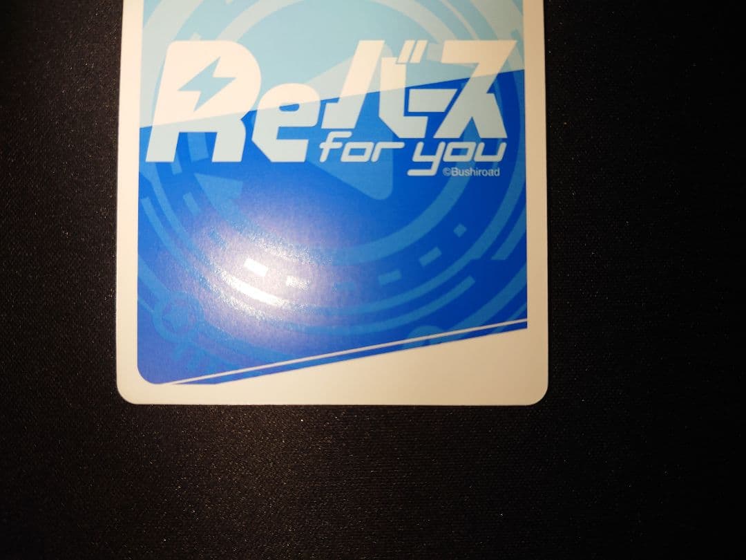 Re:ゼロから始める異世界生活 アナスタシア・ホーシン サイン PP Reバース