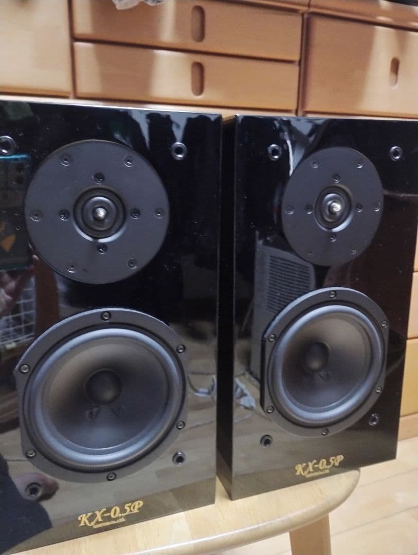 Kripton Vigore KX-0.5P スピーカー