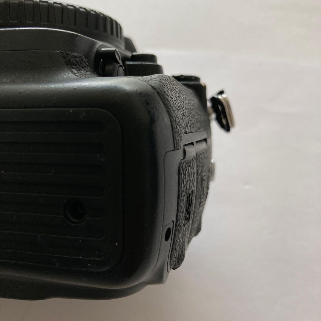 美品　Nikon D200 ニコン　総ショット数少CCD グリップベタつき無し