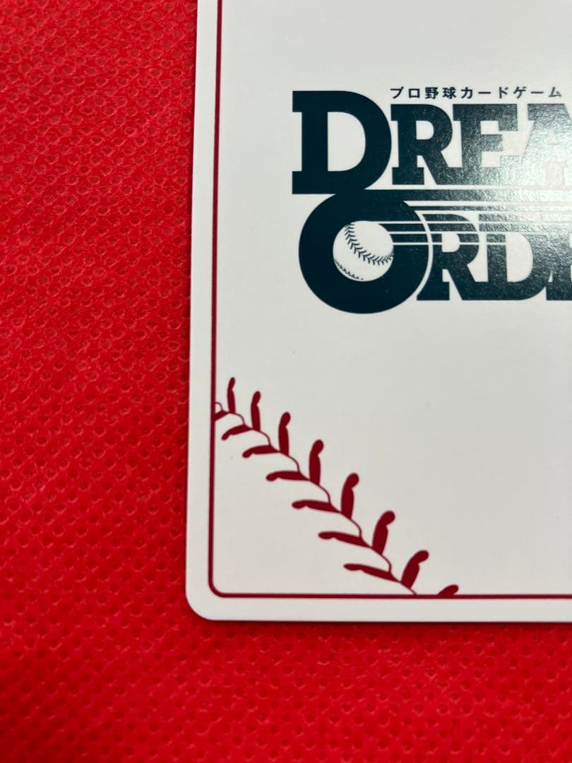 ドリームオーダー　夢の共燕　つば九郎　LG