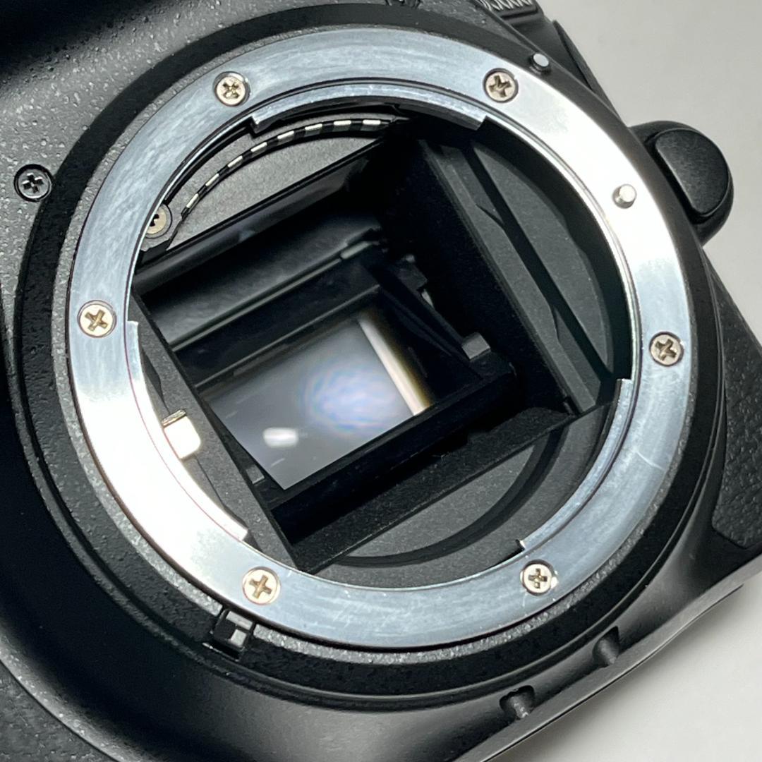 Nikon D5600 レンズキット AF-P 18-55 VR