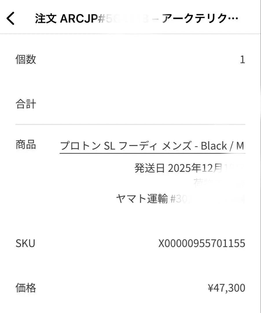 アークテリクス　Proton SL Hoody プロトン　フーディ　M