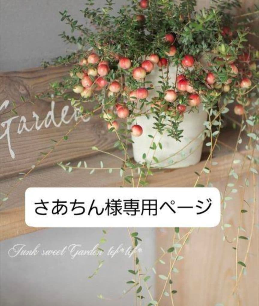 さあちんページです♬*°