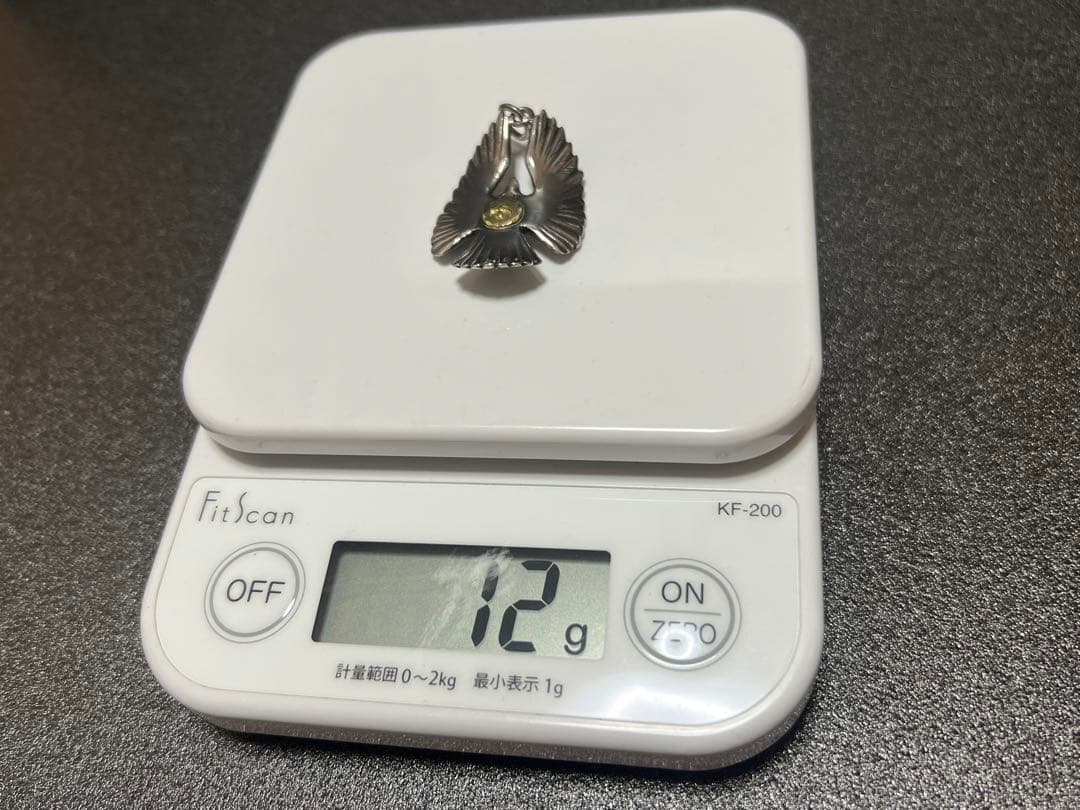 富士虎 ゴローズ goro's K18金メタル イーグルペンダントトップ