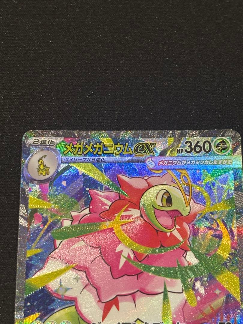 メガメガニウムex SAR 進化ライン付き