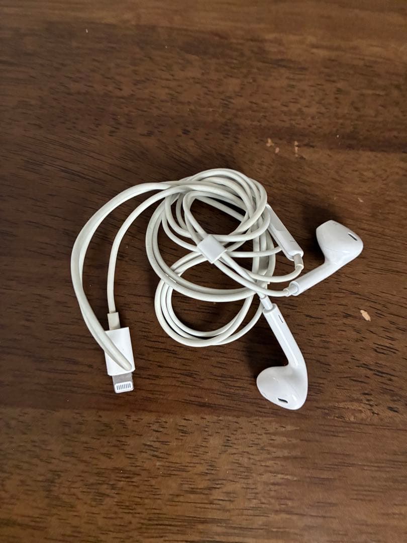 iPad 第7世代本体 カバー　充電器　イヤホン　アップルペンシル付き