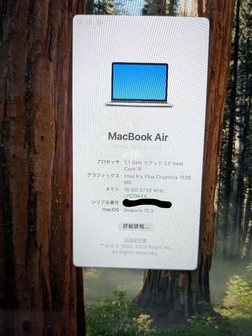 【最終価格】MacBook Air 2020（16GB・1TB SSD）