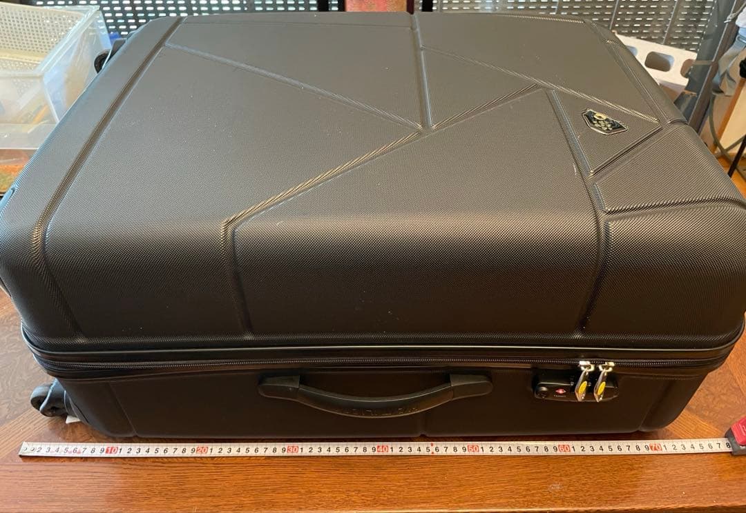 スーツケース　新品未使用　102L サムソナイト　カメレオン ベローナ