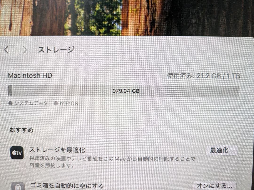 Mac mini 2018 /ストレージ 1TB メモリ 64GB