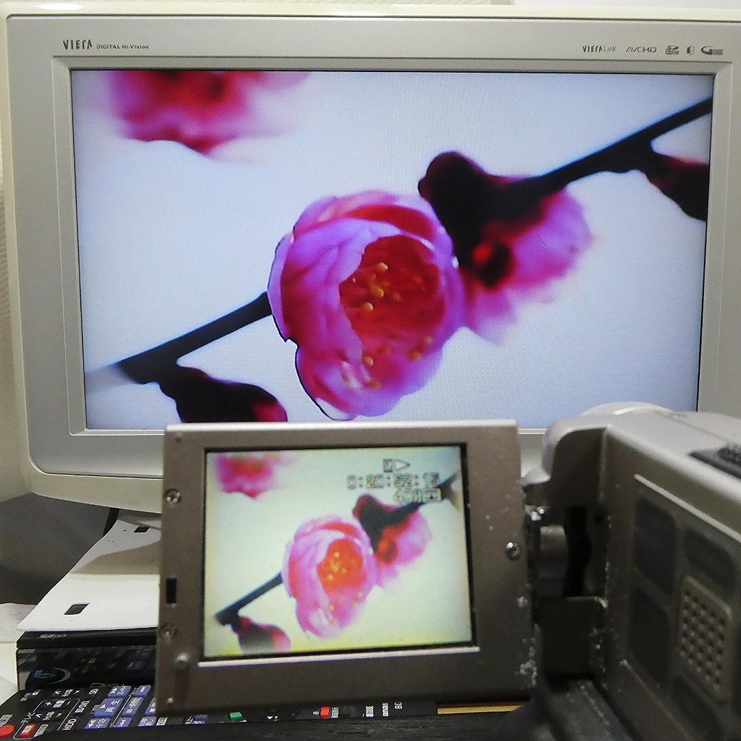 動作品 ソニーDCR-PC7 MiniDV ビデオカメラ DVDダビングに最適