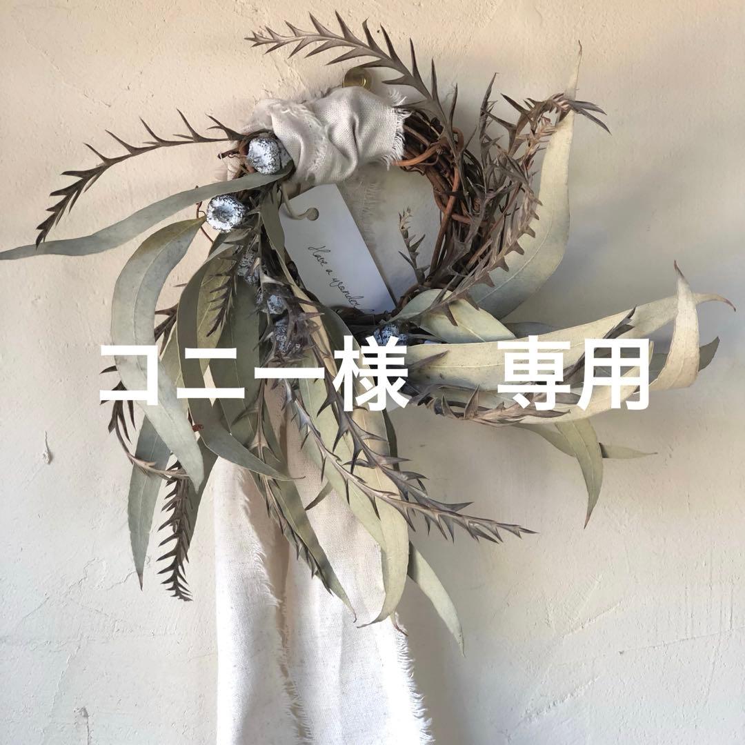 コニー　ライトグリーンxs 翌日発送