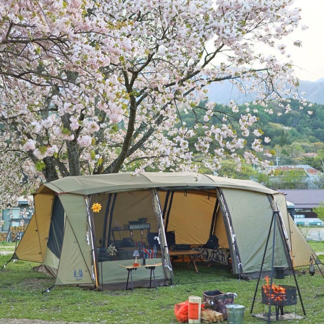 【 最終値下げ 】 Ogawa Apollon オガワ アポロン